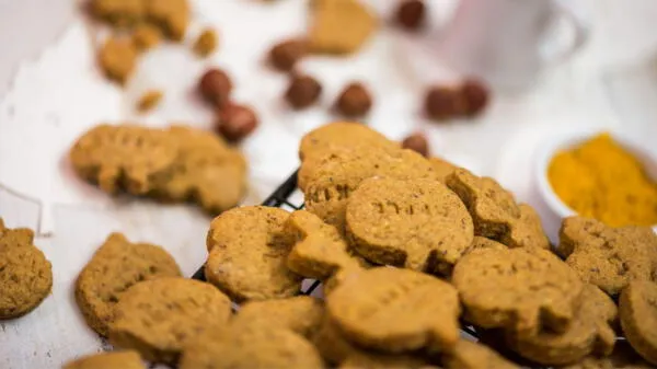 Galletas saladas hechas en casa