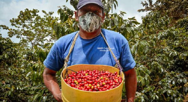 Hombre cargando café.