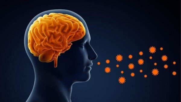 Estudio de Oxford revela que el coronavirus encoge cerebro