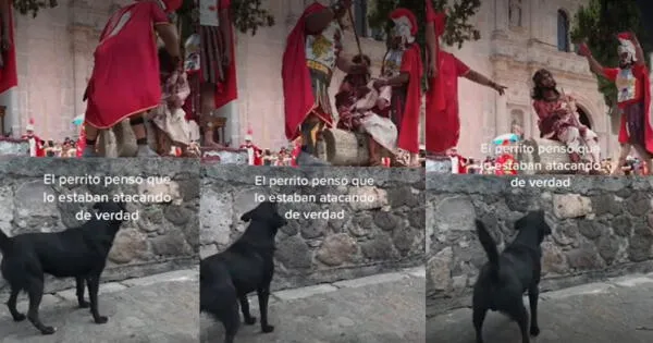 Perrito ladra para defender a 'atacado' en vía crucis