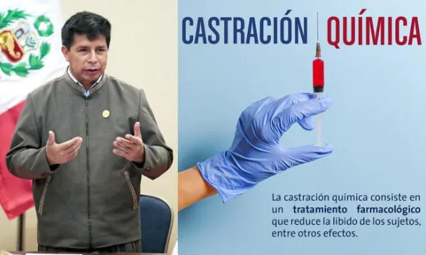 Castracion quimica Peru