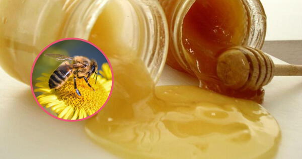 Miel de abeja adulterada