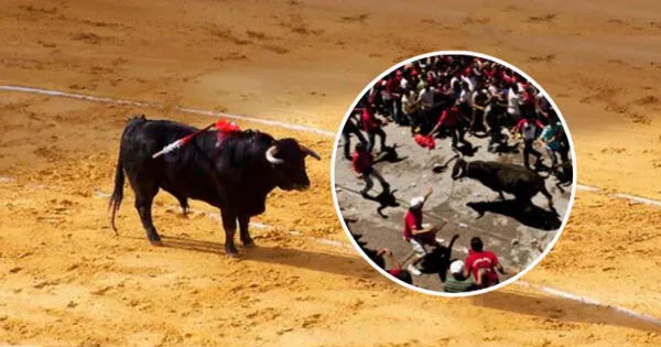 Corrida de toros