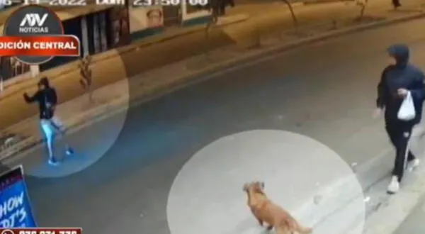 Luisinho Enrique Valenzuela Cazorla transeunte comida perro callejero