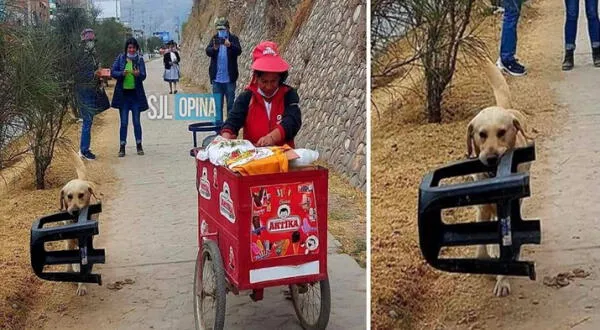 Perrito y su dueña