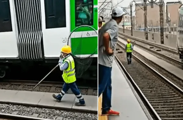 perro en tren