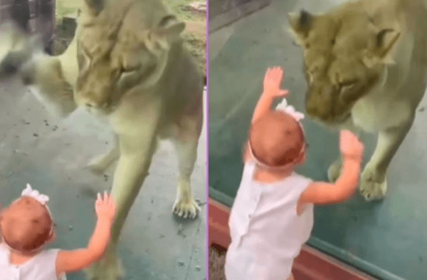 leona y bebé