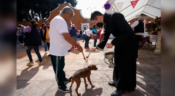 perro en México