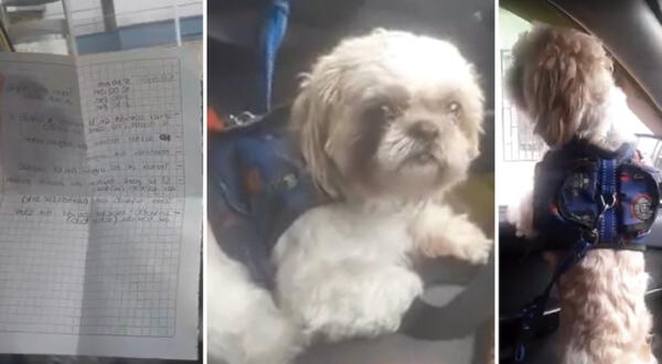 Perrito fue abandonado en un taxi en Colombia
