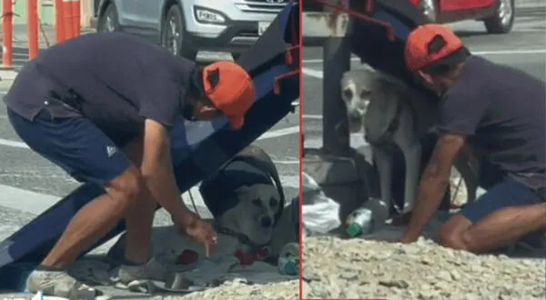 Hombre se ganó la admiración de miles de cibernautas por preocuparse por su perrito