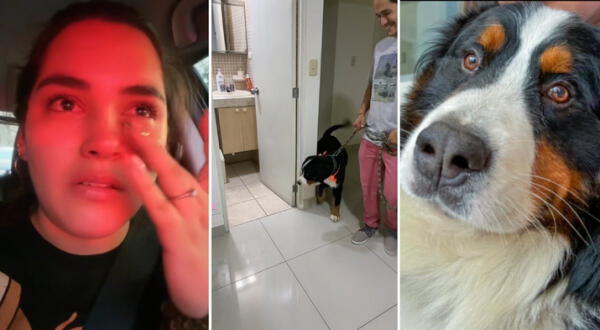 Mujer peruana llora porque le hacen un mal corte a su mascota Ares