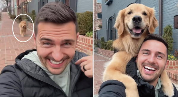 Perrito Golden Retriever se emocionó cuando su dueño le pidió un selfie