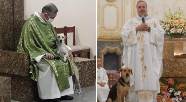 Joao Paulo Araujo Gomes es un sacerdote de Brasil, que refugia perros con el fin de darlo en adopción a familias responsables