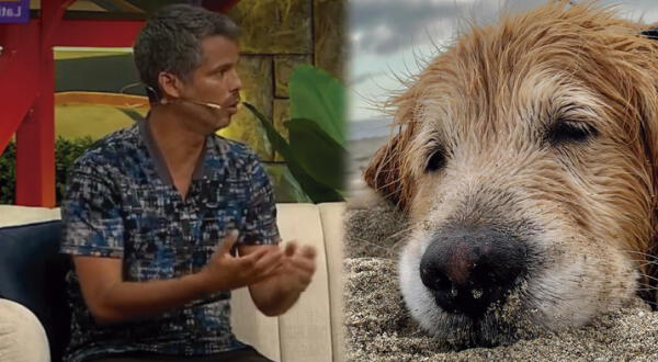 Pancho Cavero analizó las razones del por qué el perro Tadeo falleció en la playa Bujama