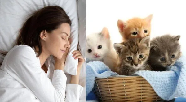Mujer soñando con gatitos