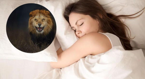 Soñar con leones