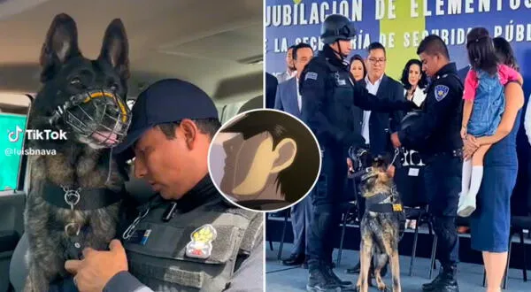 Perro policía se jubila tras 6 años de trabajo y sus compañeros le rinden tributo