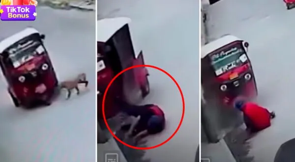 El vídeo del perro que atropella a mototaxi se volvió viral en minutos.