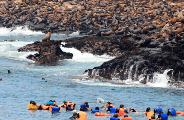 Callao: rescatan a 22 turistas de nave hundida cerca a las islas Palomino