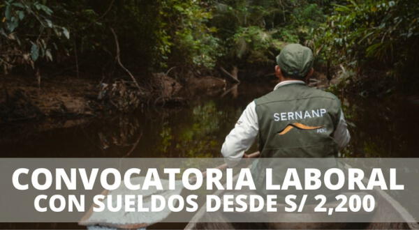 Sernanp convocatoria laboral