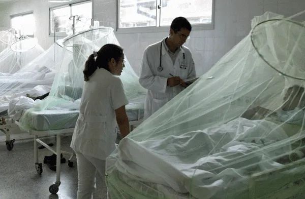 pacientes con dengue
