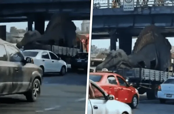 TikTok: dinosaurio no pasó puente y causa tráfico