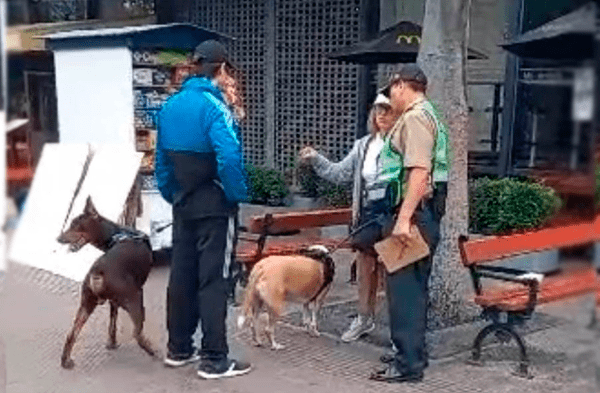 Miraflores: dueña de perro sin bozal que mató a gatito recibió multa por casi 1,000 soles