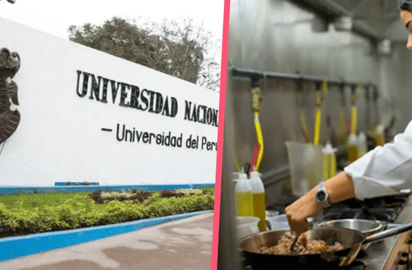 UNMSM enseñará Gastronomía y Administración de Negocios Marítimos y Portuarios