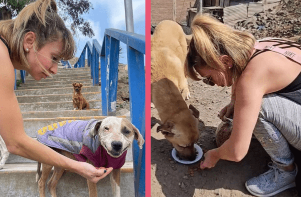 Belén Estévez lleva ayuda a perros