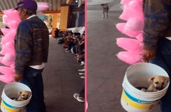 Hombre de avanzada edad carga a su perrito adoptado mientras vende algodones de azúcar