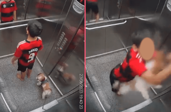 El más grande héroe: niño salva a su perro de morir atrapado en la puerta de un ascensor