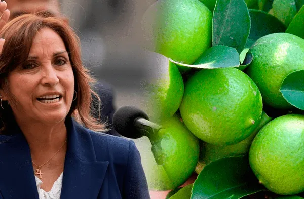 Dina Boluarte y compra de limones