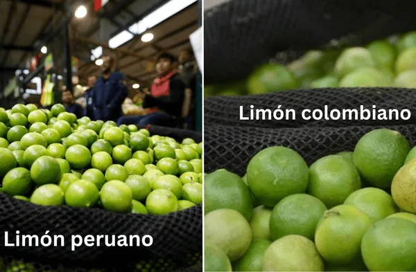 ¿Cuáles son las diferencias del limón colombiano y peruano que lo consigues desde s/10?