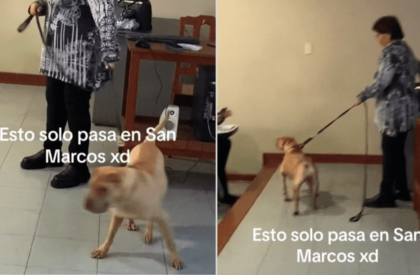 Profesora de San Marcos llega al aula con su perrito y sorprende en redes sociales