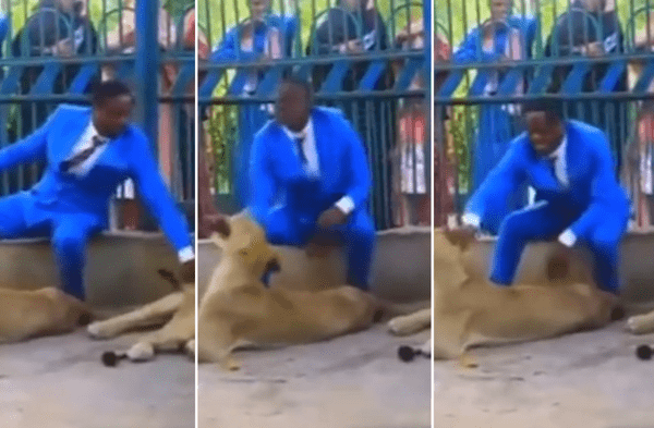 Milagro o locura: Pastor nigeriano revive pasaje bíblico con leones