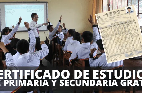 ¿cómo solicitar certificado de estudios de primaria y secundaria GRATIS?