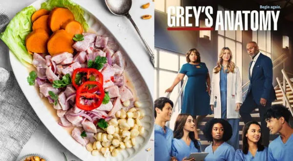 Grey's Anatomy: ¿Por qué calificaron a una paciente como "ceviche"  y cuál es el cruel significado?