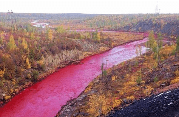 Se cumple profecía bíblica: El Río Nilo se tiñe de rojo y genera pánico mundial