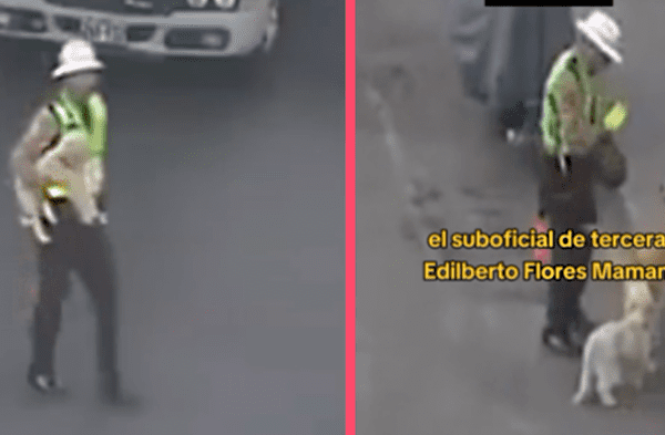Policía peruano ejemplo de bondad ayuda a perritos callejeros a cruzar la pista: "¡Vale un PERÚ!"