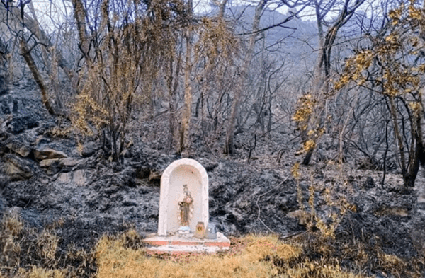 Imagen de la Virgen quedó intacta tras devastador incendio que acabó con todo alrededor wapa.pe