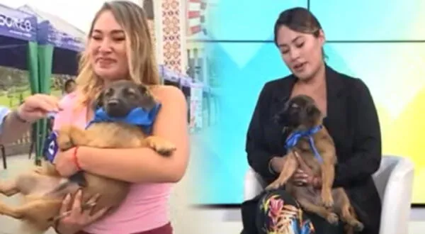 Periodista peruana adopta a perrito callejero y se quiebra al contar experiencia: "Sentí una paz"