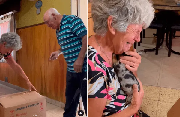 Ancianos perdieron a su perro durante las vacaciones; pero recibieron sorpresa que los hizo emocionar