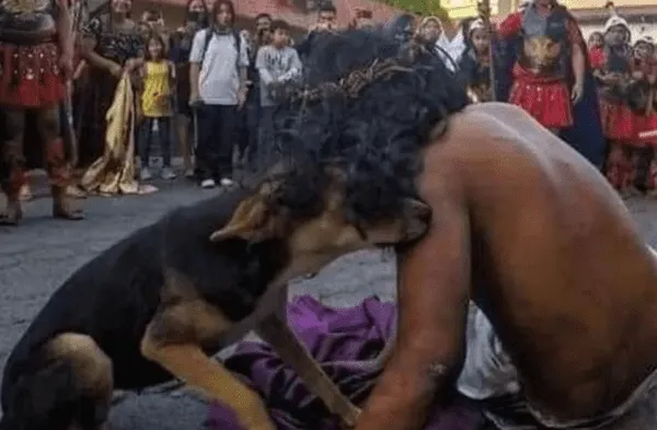 Perrito ‘consuela’ a hombre que interpretaba a Jesús durante el Vía Crucis