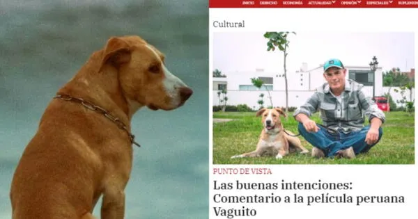Periodista desata polémica tras dura crítica a la actuación del perro 'Vaguito'