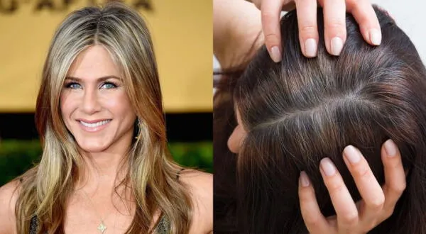 10 champús que disimulan las canas sin comprometer la salud de tu cabello wapa.pe