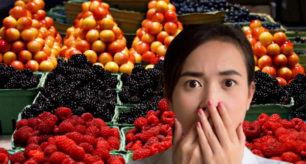 Oro negro: la fruta llena de vitaminas que regula el azúcar en sangre y la presión arterial wapa.pe