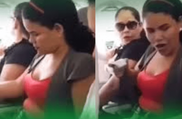 Pasajera de avión. wapa.pe