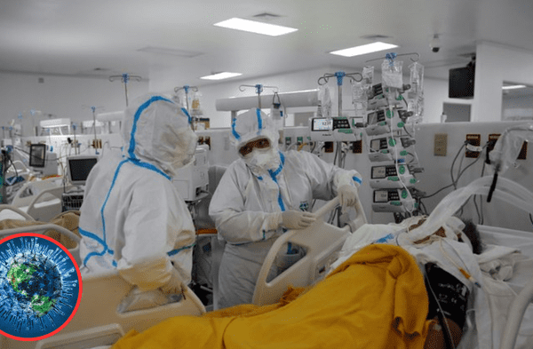 Nuevo coronavirus. wapa.pe