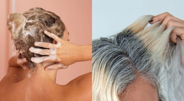 Las mejores marcas de shampoo sin sal para cuidar el cabello alisado y decolorado wapa.pe