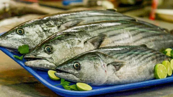 En Perú, no se consume pescado en comparación con otros países. wapa.pe